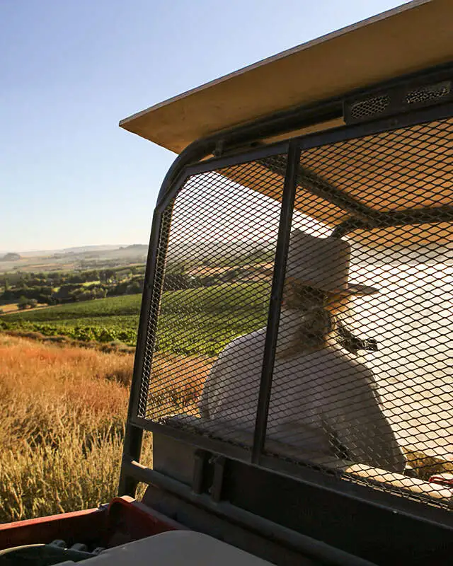 28b384506967b6a0251e3ce69d9d52315e0b4412